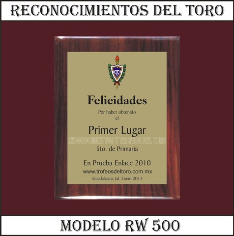 reconocimientos trofeos y reconocimientos del toro